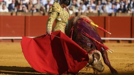 Canal Sur alcanza cifras extraordinarias con la corrida de la antología de Morante: más de un millón de espectadores y líder absoluto en su franja
