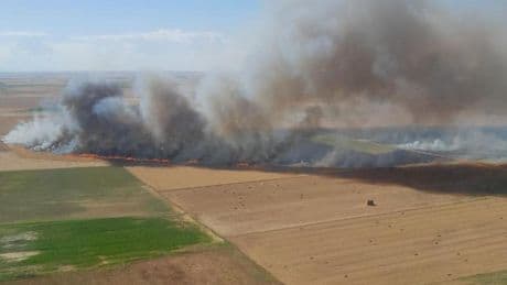 Un voraz incendio calcina 88 hectáreas de cereal en Tordehumos, causado por una cosechadora