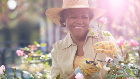 Eine Ausnahme: Wann Sie verwelkte Rosenblüten nicht abschneiden sollten
