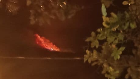 Hatay'da orman yangını