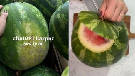 ChatGPT'nin seçtiği karpuz gündem oldu: İşte yapay zekanın ideal karpuzu