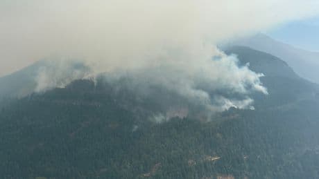 Out-of-control wildfire near Harrison Lake now 70 hectares in size