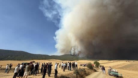 Bakan Kurum'dan Sakarya'daki orman yangınına ilişkin açıklama