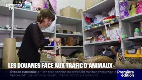 Douanes: ces petites mains qui luttent contre le trafic d'animaux