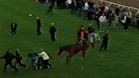 Horse that left the track and ran at terrified spectators dies as owner speaks out