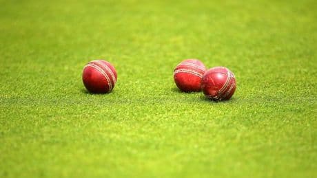 ECB bans transgender women from taking part in women’s and girl’s cricket