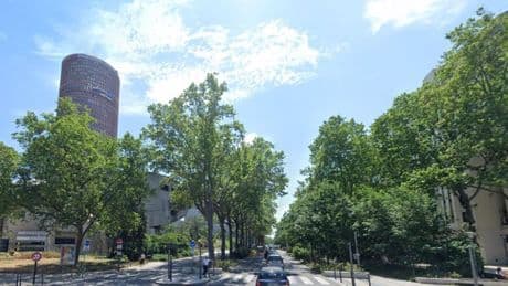 Lyon : un paysagiste se filme en train de tailler les espaces verts de la ville et s’attire les foudres des élus écologistes