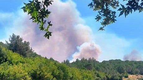 3 kentte yangın! Havadan ve karadan müdahale ediliyor