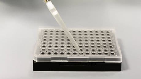 Einspruch Exklusiv: Warum Ermittler DNA-Spuren zur Herkunftsermittlung nutzen sollten
