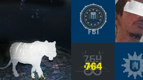 Sadisten-Netzwerk um »White Tiger«: Wie ein FBI-Agent an der Hamburger Polizei verzweifelte
