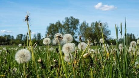 Steigende Temperaturen: Sonne für Berlin und Brandenburg