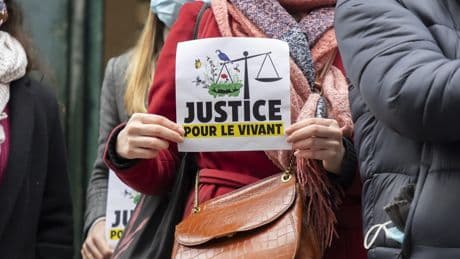 « Justice pour le vivant » : la rapporteure publique propose de réévaluer les pesticides autorisés
