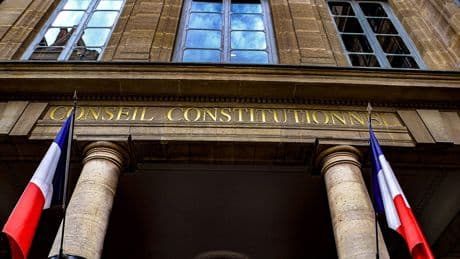 Loi Duplomb : vers une censure du Conseil constitutionnel sur les néonicotinoïdes ?