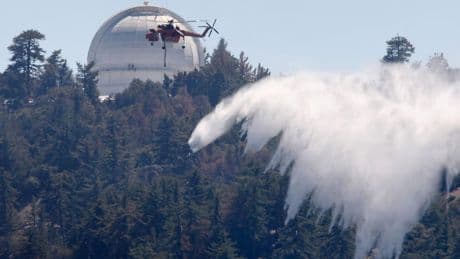 Boards Can No Longer Ignore Nature Risk. Here’s How To Govern It