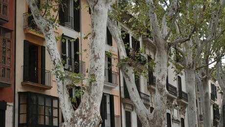 Alquilar una vivienda cuesta hoy 142 euros más al mes que hace un año: en Madrid y Barcelona, vivir ya supera los 1.700 euros al mes