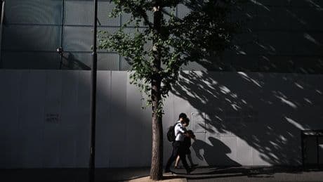 The $4.4 Trillion Payoff: Why Climate Action Is Smart Business