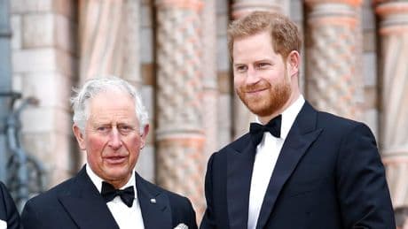 55-Minuten-Treffen von Charles und Harry - Das passierte hinter verschlossenen Türen