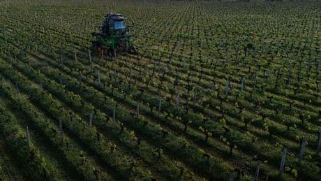 Du TFA, le plus répandu des polluants éternels, détecté dans des bouteilles de vin à des niveaux records