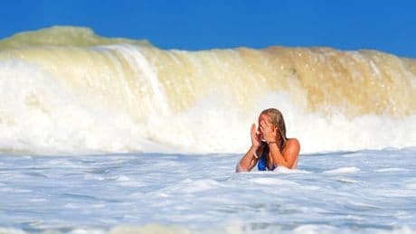 Swimmers rush out of the ocean after 'cute' sea creature starts to attack