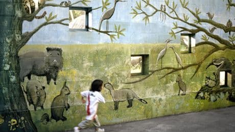 Dix ans de « Laudato si' » : des petits trucs en plus