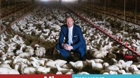 UK-US trade deal: Keep your chlorine chicken American, Britain must not pay this price