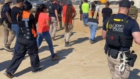 ICE arrests 475 workers at a Hyundai-LG battery plant in Georgia in 'largest single-site enforcement operation'