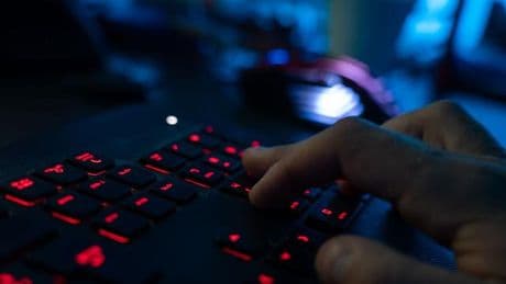 Kindesmissbrauch im Internet: Pädo-Sadist "White Tiger" war Polizei schon 2021 bekannt