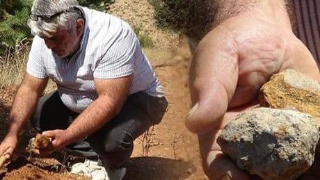 Gramı altınya yarışıyor! Toprak altında buluyor: Ayırt etmesi çok zor
