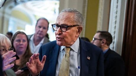 Two Republicans join Dems to save Schumer's surprise push to force release of Epstein files