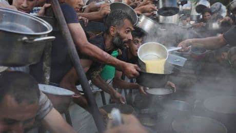 Photos of desperate Palestinians reaching for food in Gaza as experts warn of famine