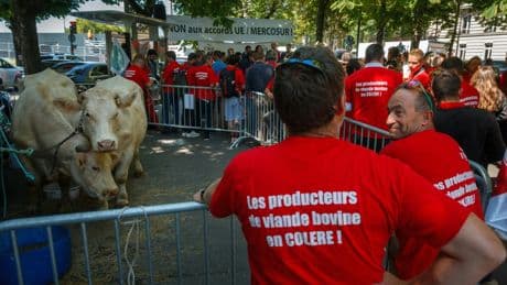 Accord commercial UE-Mercosur sur la table, la France face aux syndicats agricoles vent debout