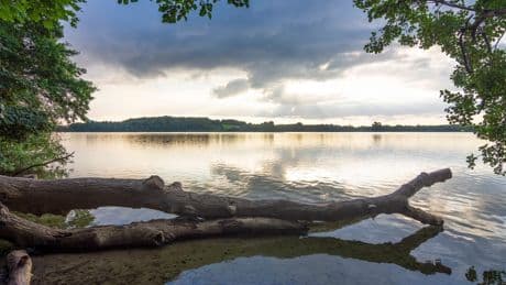 Ferienzeltlager am Behler See in Plön: Baum stürzt auf Betreuerin – tot
