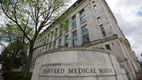 Video - Mythos Harvard - beste Uni der Welt gegen Trump