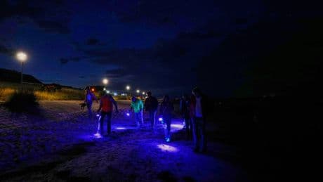 Finding happiness in amber: On Germany's Baltic coast, people go hunting for the precious pieces