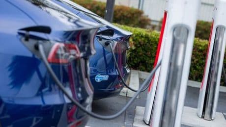 Elon Musk profitiert von EU-Geldern in dreistelliger Millionenhöhe