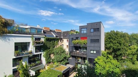 Großzügiger Zuschuss für Dachbegrünung: Das müssen Hausbesitzer jetzt wissen