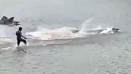 Horror moment grandad dragged to death by crocodile that then paraded his body