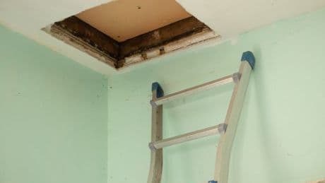 Woman makes unexpected find after knocking down wall in 1915 house