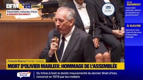 Mort d'Olivier Marleix: le député était "un combattant", selon François Bayrou