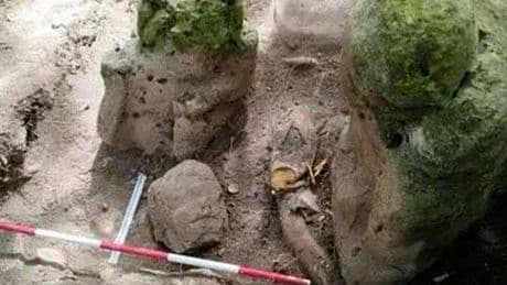Hallazgo en Guatemala: descubren restos de una ciudad maya de hace casi 3.000 años
