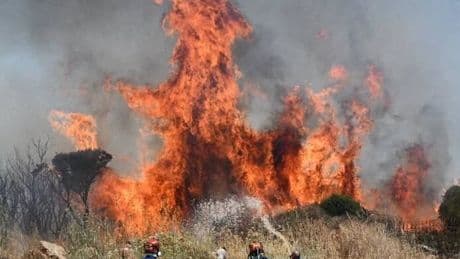 Dozens of Wildfires Burn in Greece and Turkey as Temperatures Soar
