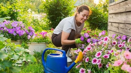 Immobilien: Was im Garten und auf dem Balkon erlaubt ist – und was nicht