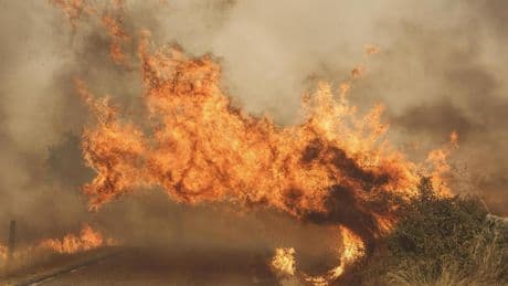 Incendios en España, última hora en directo | Castilla y León roza los 30 fuegos activos con varios puntos de gravedad extrema