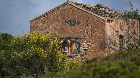 Politie kamt Portugees terrein uit op zoek naar sporen Maddie: ’Haar pyjama verborgen in vervallen schuur?’