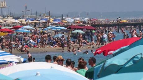 Cosa si può fare (e cosa no) al mare? Dall'accesso dei cani, ai palloni e il fumo fino al pranzo al sacco: le regole in spiaggia