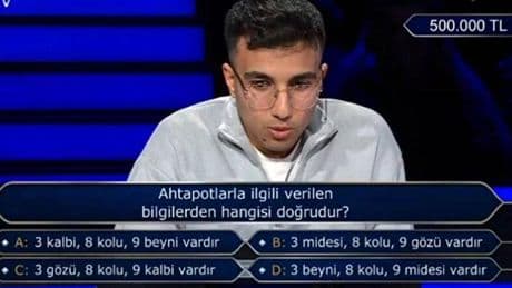 Ahtapotların kaç kalbi var? Ahtapotların beyin sayısı! Kim Milyoner Olmak İster yarışmasında Ahtapot Bilgisi!