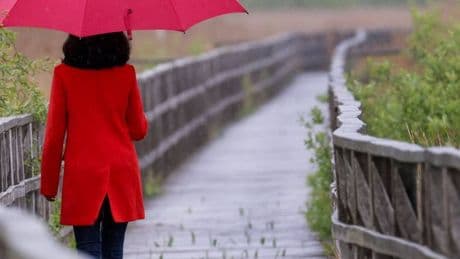 Wetter in NRW: Dauerregen und Gewitter in den kommenden Tagen