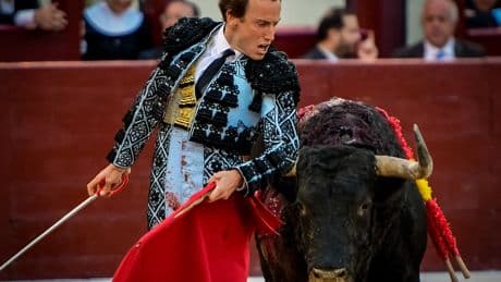 La odisea de Román para ganar su primer billete de 500 euros