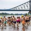 Schwimmen in der Elbe: Hunderte Teilnehmer beim Elbeschwimmen in Dresden
