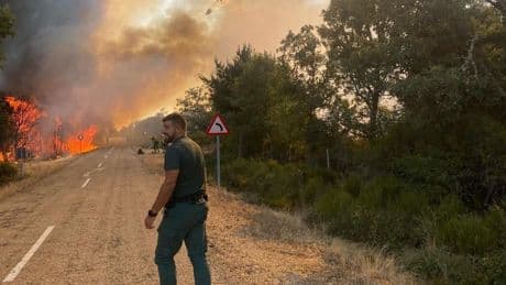 Molezuelas de la Carballeda se convierte en el incendio más grave de la historia de España